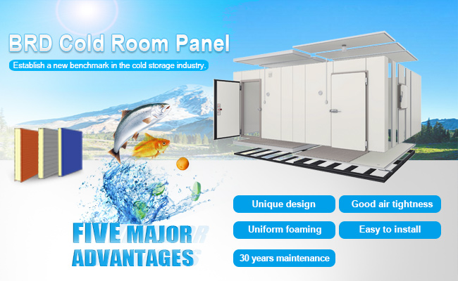 coldroom-panel-BRD
