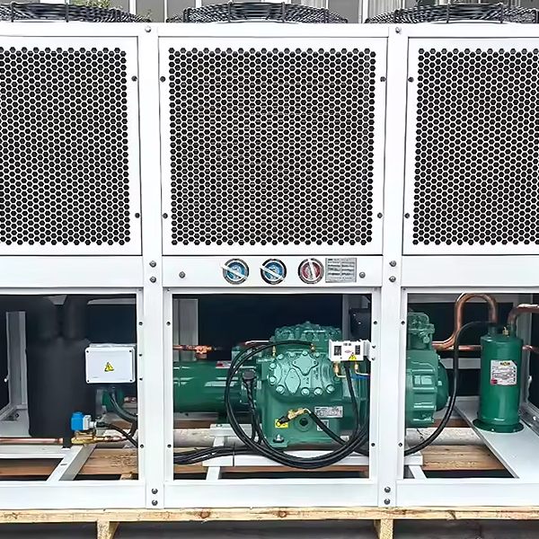 BV Series Box-Type Condensing Units (Bitzer Compressor)