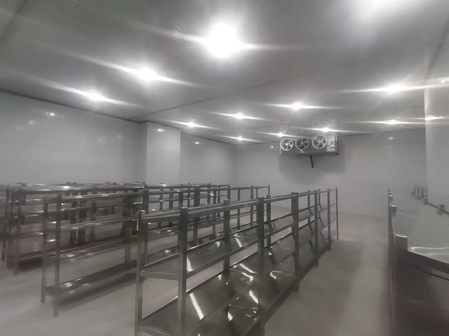 cold room BIEL Crystal