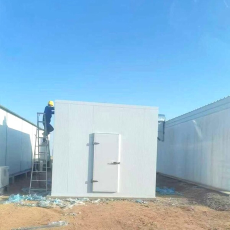 BRD New Materials Food Cold Room in Medina, Saudi Arabia (4) (1).jpg