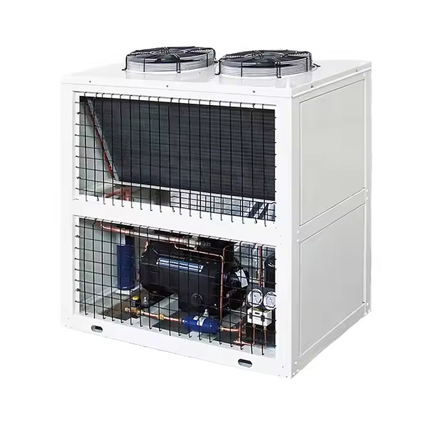 BV Series Box-Type Condensing Units (Bitzer Compressor)