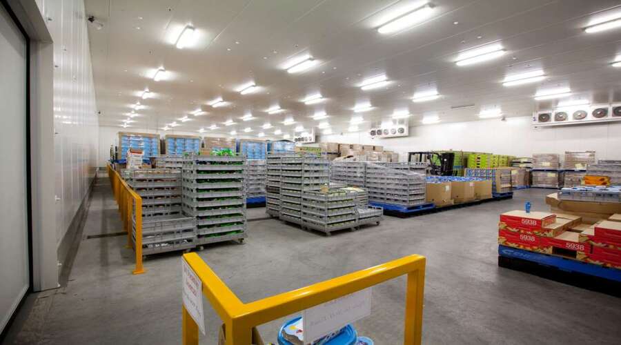 Vegetable and Fruit Coldroom | BRD New Materials